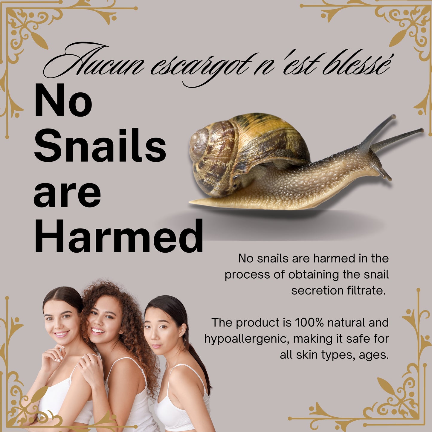 Snail Mucin Renewal Elixir Mask [Qty 10]